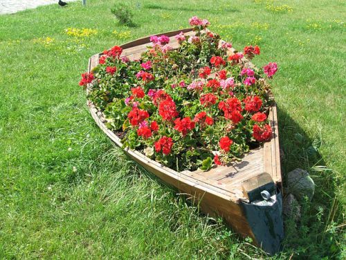 лодка с цветами цветник клумба